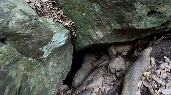 gx012109.mp4_snapshot_00.02_thumb.jpg