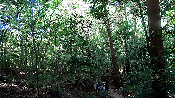 gx012109.mp4_snapshot_01.04_thumb.jpg