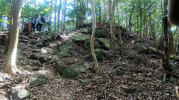gx012111.mp4_snapshot_00.19_thumb.jpg