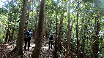 gx012111.mp4_snapshot_01.14_thumb.jpg