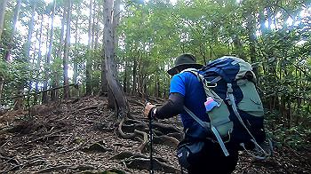 gx012113.mp4_snapshot_00.16_thumb.jpg