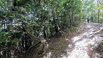 gx012115.mp4_snapshot_00.02_thumb.jpg