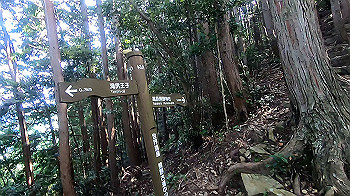 gx012116.mp4_snapshot_00.04_thumb.jpg