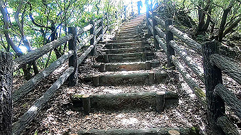 gx012121.mp4_snapshot_00.01_thumb.jpg