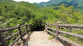 gx012121.mp4_snapshot_01.37_thumb.jpg