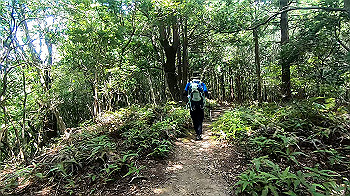 gx012122.mp4_snapshot_00.00_thumb.jpg