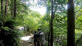 gx012124.mp4_snapshot_03.11_thumb.jpg