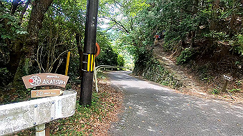 gx012125.mp4_snapshot_00.01_thumb.jpg