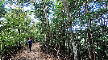 gx012129.mp4_snapshot_00.42_thumb.jpg