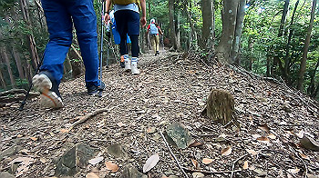 gx012130.mp4_snapshot_00.01_thumb.jpg