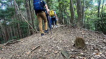 gx012130.mp4_snapshot_00.03_thumb.jpg
