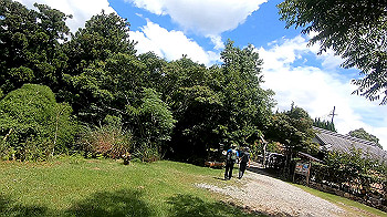 gx012131.mp4_snapshot_07.05_thumb.jpg