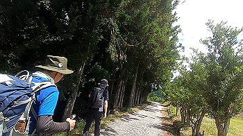 gx012132.mp4_snapshot_00.00_thumb.jpg
