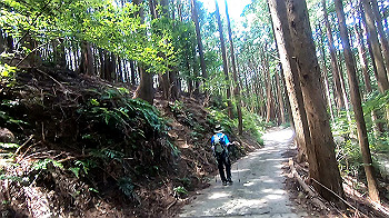 gx012142.mp4_snapshot_00.02_thumb.jpg