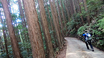 gx012142.mp4_snapshot_00.32_thumb.jpg