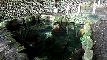gx012240.mp4_snapshot_07.49_thumb.jpg