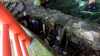 gx012241.mp4_snapshot_00.14_thumb.jpg