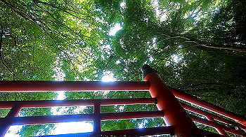 gx012241.mp4_snapshot_01.15_thumb.jpg