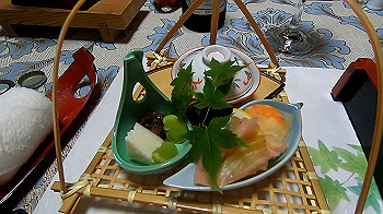 gx012245.mp4_snapshot_00.30_thumb.jpg
