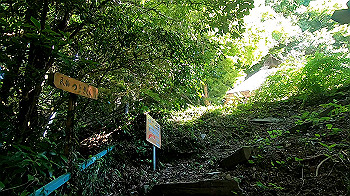 gx012249.mp4_snapshot_02.21_thumb.jpg