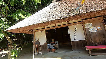 gx012249.mp4_snapshot_02.46_thumb.jpg