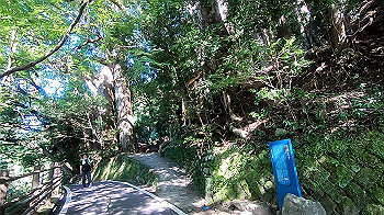 gx012249.mp4_snapshot_03.03_thumb.jpg