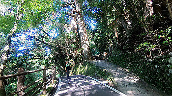 gx012249.mp4_snapshot_03.07_thumb.jpg