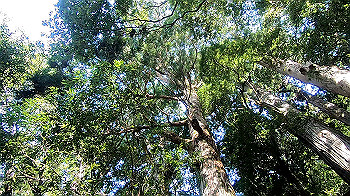 gx012250.mp4_snapshot_00.09_thumb.jpg