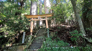 gx012250.mp4_snapshot_00.23_thumb.jpg
