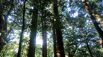 gx012250.mp4_snapshot_01.45_thumb.jpg