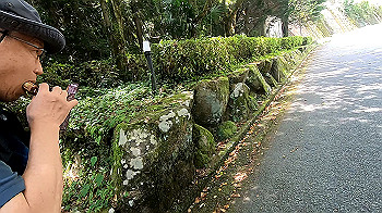 gx012259.mp4_snapshot_00.46_thumb.jpg