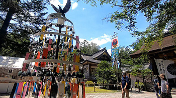 gx012266.mp4_snapshot_00.06_thumb.jpg