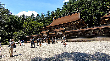 gx012267.mp4_snapshot_00.09_thumb.jpg