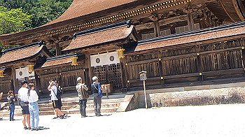 gx012268.mp4_snapshot_00.22_thumb.jpg