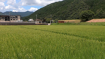 gx012270.mp4_snapshot_00.37_thumb.jpg