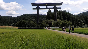 gx012270.mp4_snapshot_00.46_thumb.jpg