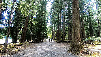 gx012273.mp4_snapshot_00.15_thumb.jpg