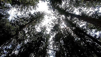 gx012273.mp4_snapshot_00.24_thumb.jpg