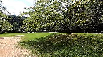 gx012274.mp4_snapshot_00.07_thumb.jpg