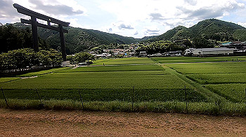gx012276.mp4_snapshot_00.36_thumb.jpg