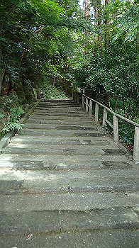 p7220011_thumb.jpg
