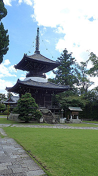 p7220020_thumb.jpg