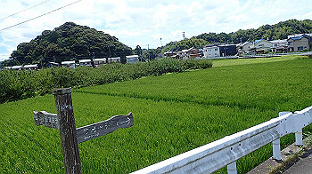 p7220039_thumb.jpg