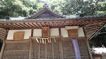 p7220042_thumb.jpg