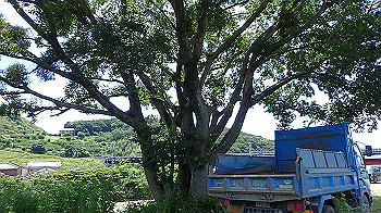 p7220052_thumb.jpg