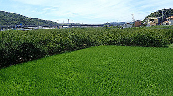 p7220054_thumb.jpg