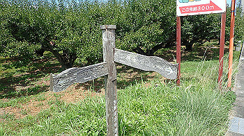 p7220055_thumb.jpg