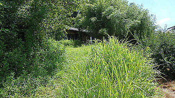 p7220069_thumb.jpg