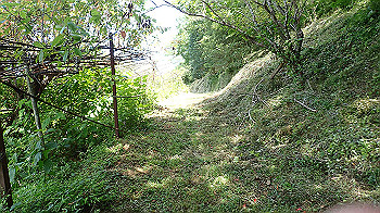 p7220072_thumb.jpg