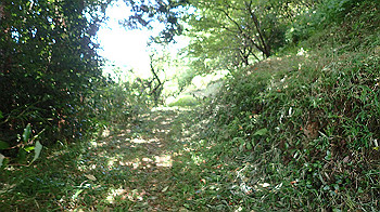 p7220073_thumb.jpg